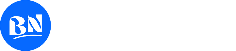 Blognews Elementor Lite Demo Footer Logo